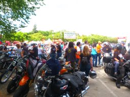 XIX Concentracion - 2012